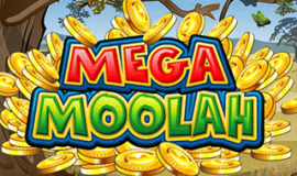 Mega Moolah