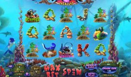 Dolphins Treasure