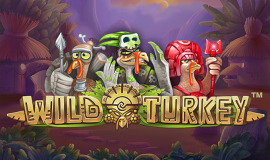 Wild Turkey